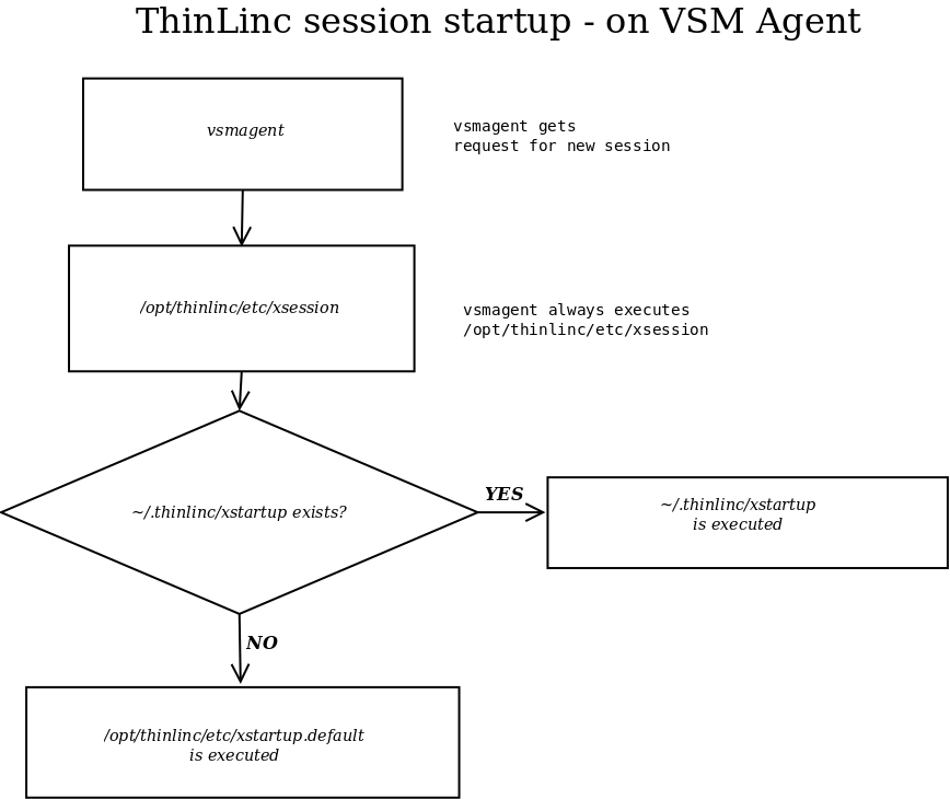 Session Startup Procedure - on VSM Agent