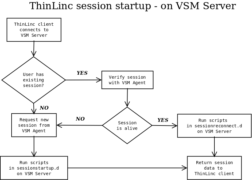 Session Startup Procedure - on VSM Server.